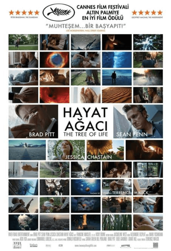 Hayat Ağacı (Film)