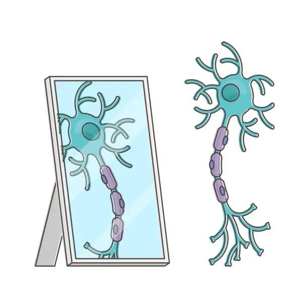 Çift Yönlü Ayna Nöronlar (Mirror Neurons)