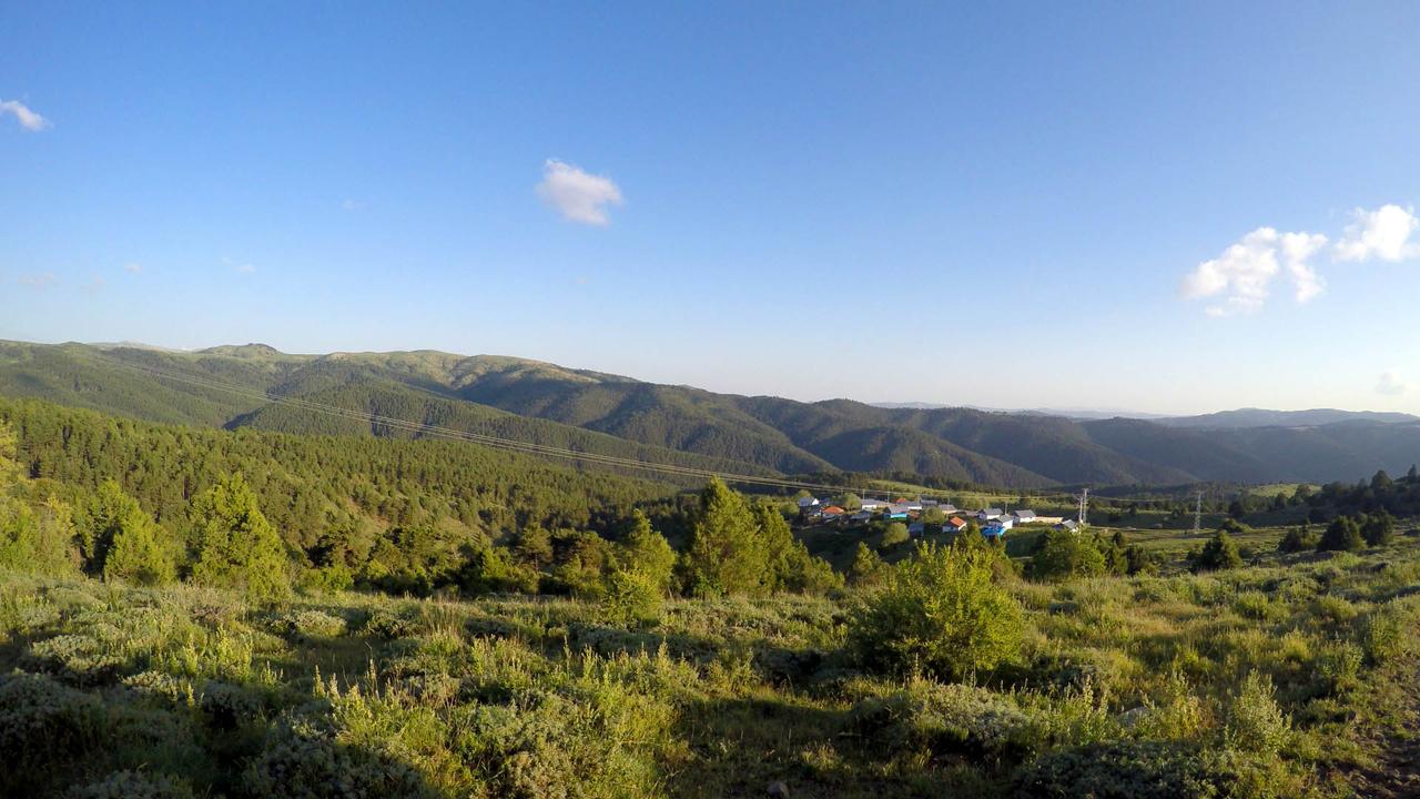 Akdağmadeni Kadıpınarı Yaylası 