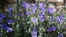 0q0XDelMyNBIaoh5sHWLeXqb7wjS2rTD.webp
