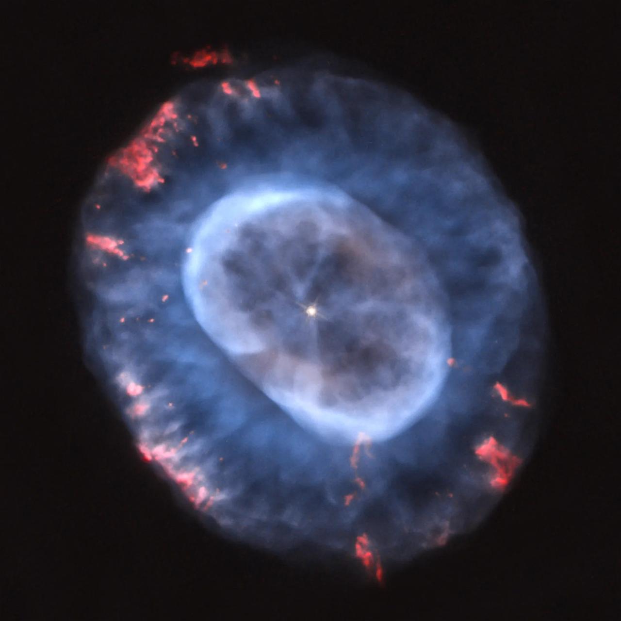 c22-1-jpg.webp
