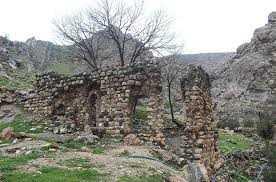 20201116102330806_feki.jpg