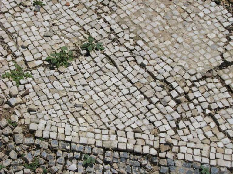 20190918110122273_akmonya (9) (1).jpg