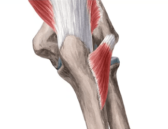 Ekran görüntüsü 2025-07-18 225004.png