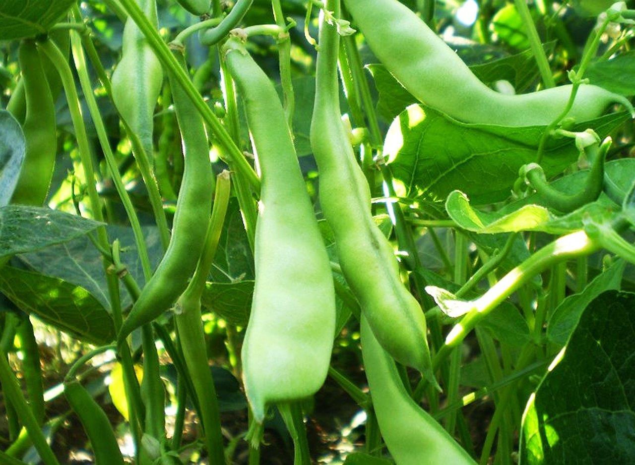 1000007118.jpg