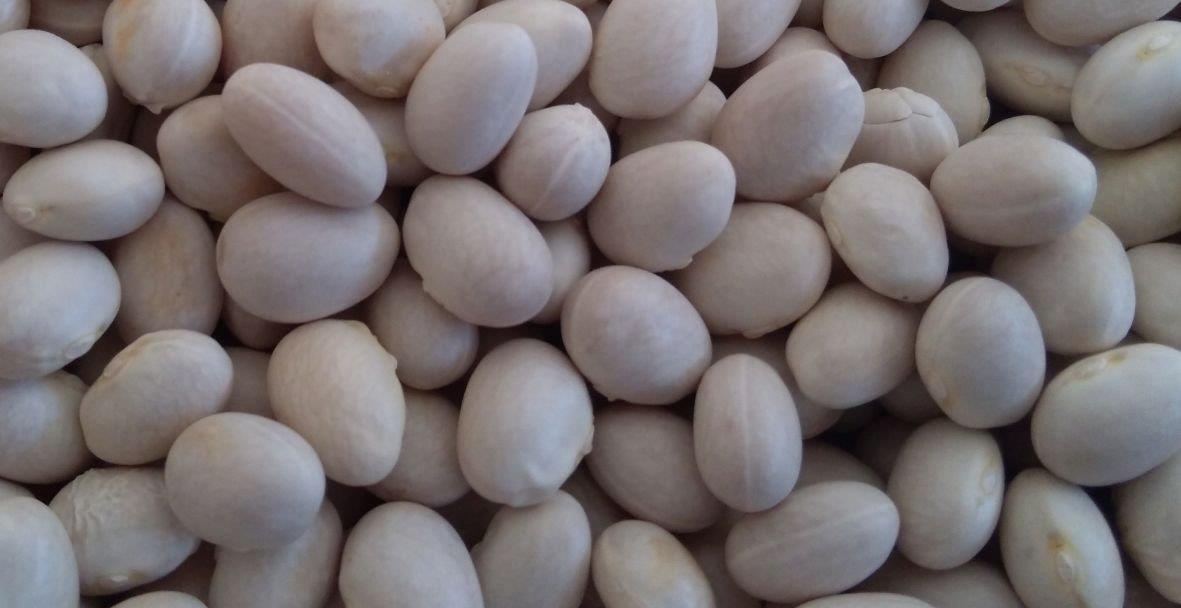 1ef5182b-8520-4f98-a36a-3465a7f6ac2b (1).jpeg