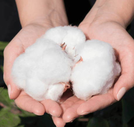 Ekran görüntüsü 2025-07-25 171423.png