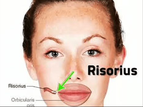 Ekran görüntüsü 2025-07-29 152842.png