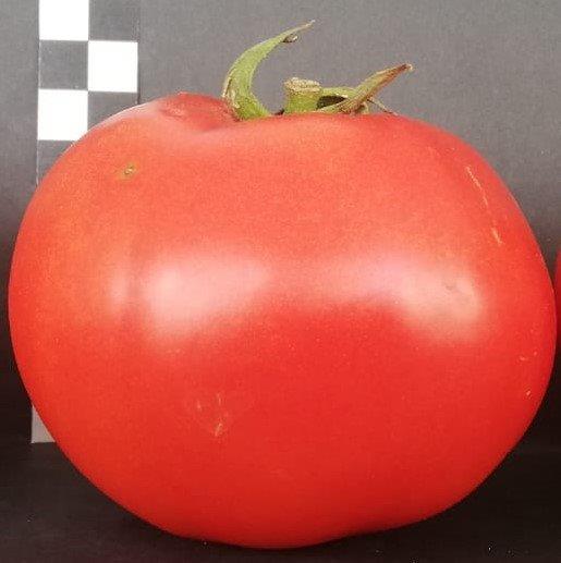 1000027811.jpg