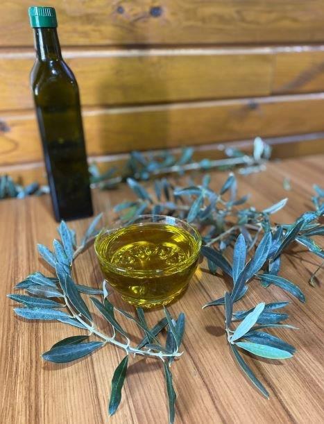 e86890ac-2cfa-467e-8623-654aa6aa19bd (1).jpeg