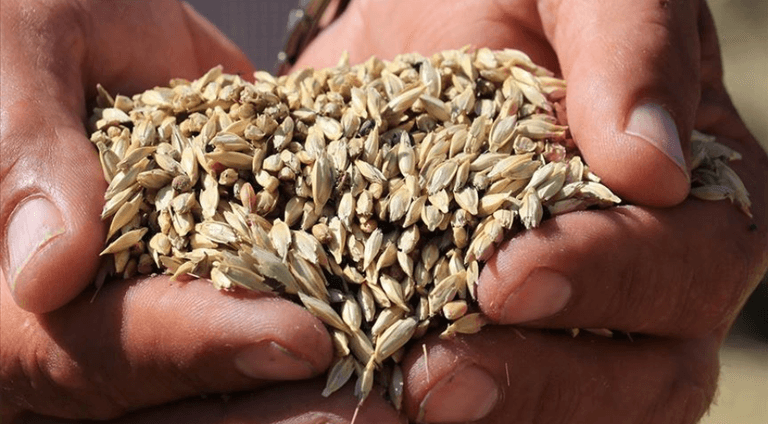 Ekran görüntüsü 2025-08-16 133513.png