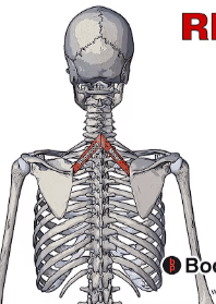 zYWy9rbVlfQjKYfypoAahxhd4XYgAI23.png