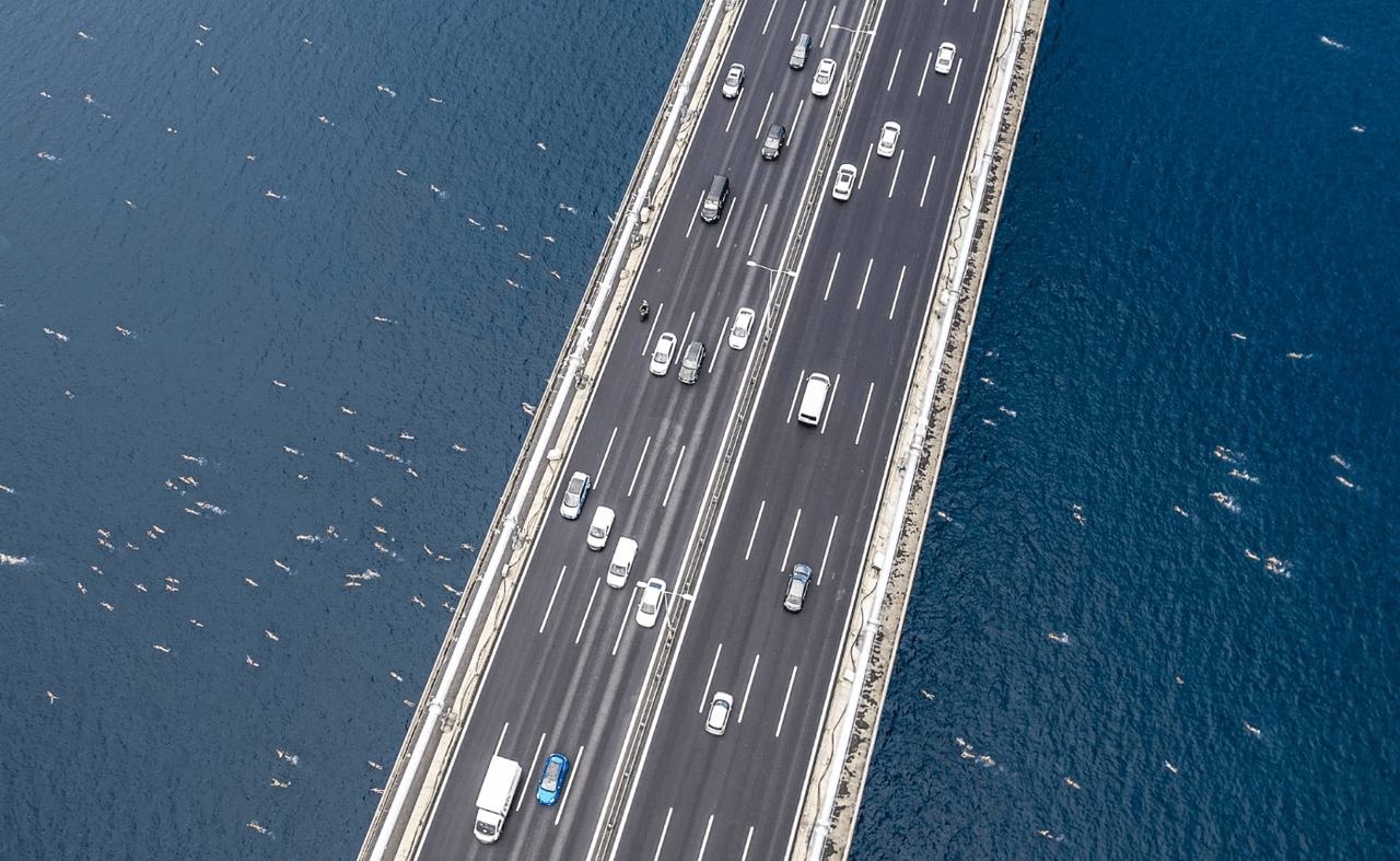 37. Bosphorus Intercontinental Swimming Race image