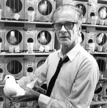 standard_compressed_Skinner.jpg