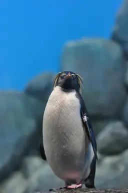 An5BJBl9oAa4tMIpYbng6fmlqKtxXVof.webp