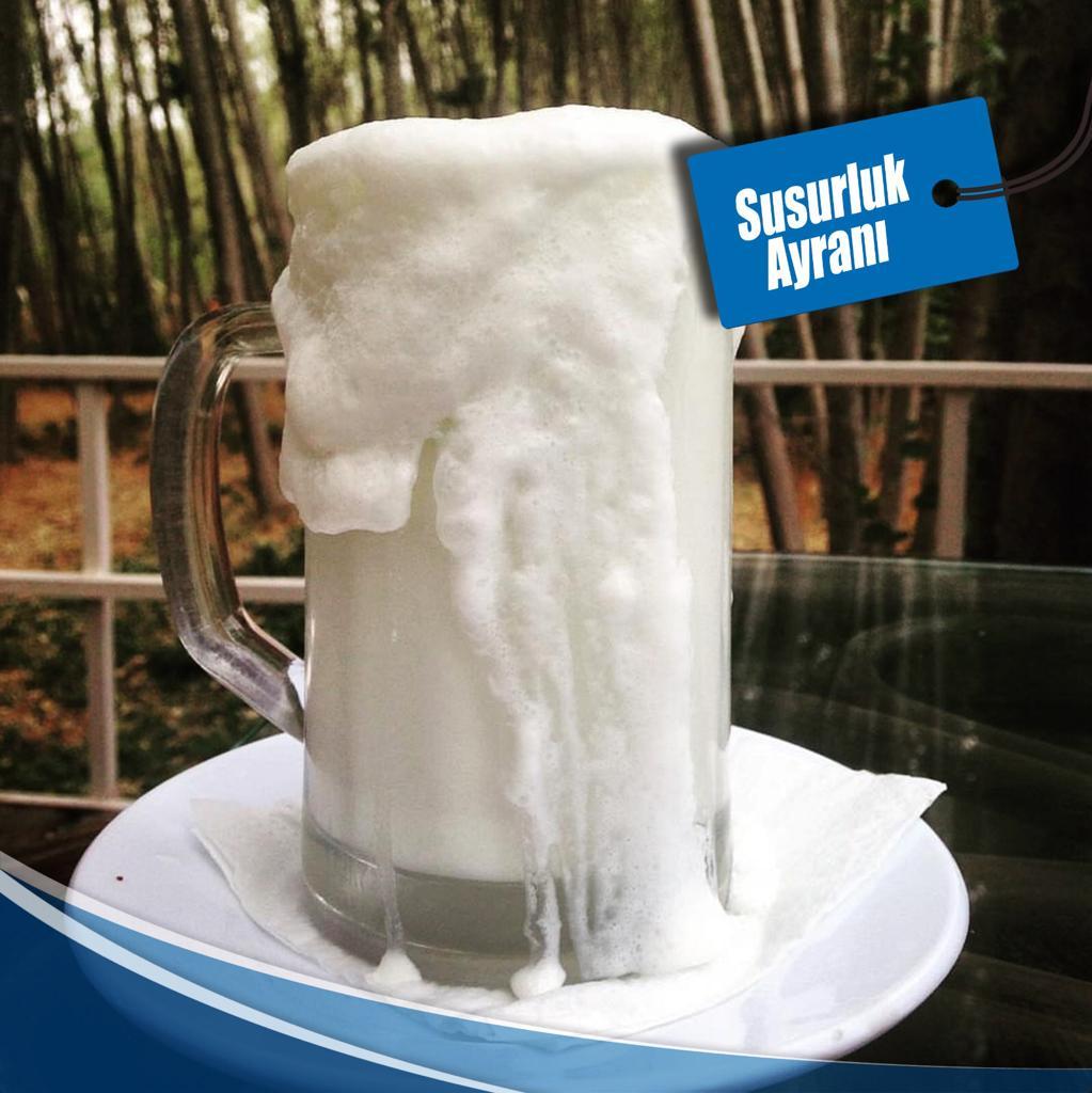 susurluk ayran.jpeg
