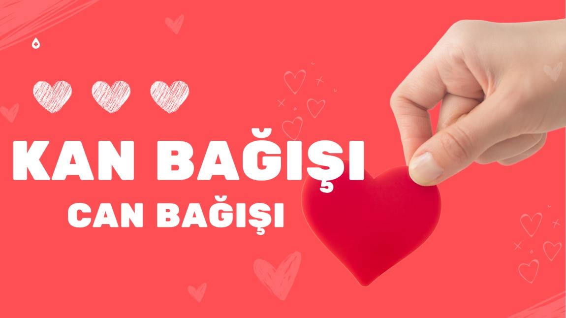 kan bağışı lsloglan.jpg