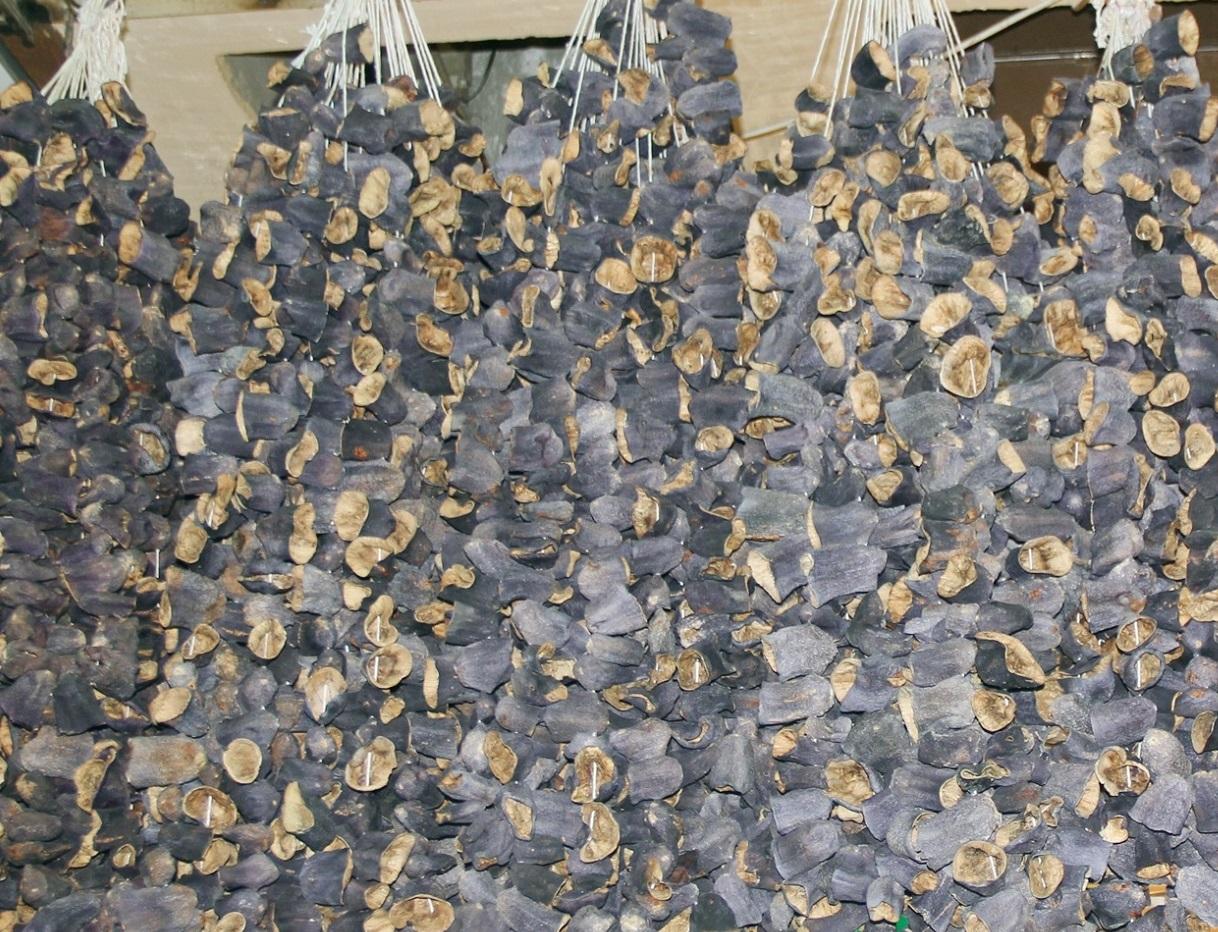 Antep Kuruluk Patlıcanı (Gaziantep Kuru Patlıcanı).jpg