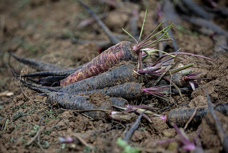 009_2023-09_2023-22_Nisan-14-20230409_2_58161320_87722354.jpg