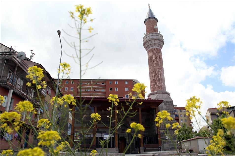 thumbs_b2_d7117dd67cdd5bc3598aab6b2e5e35af.jpg