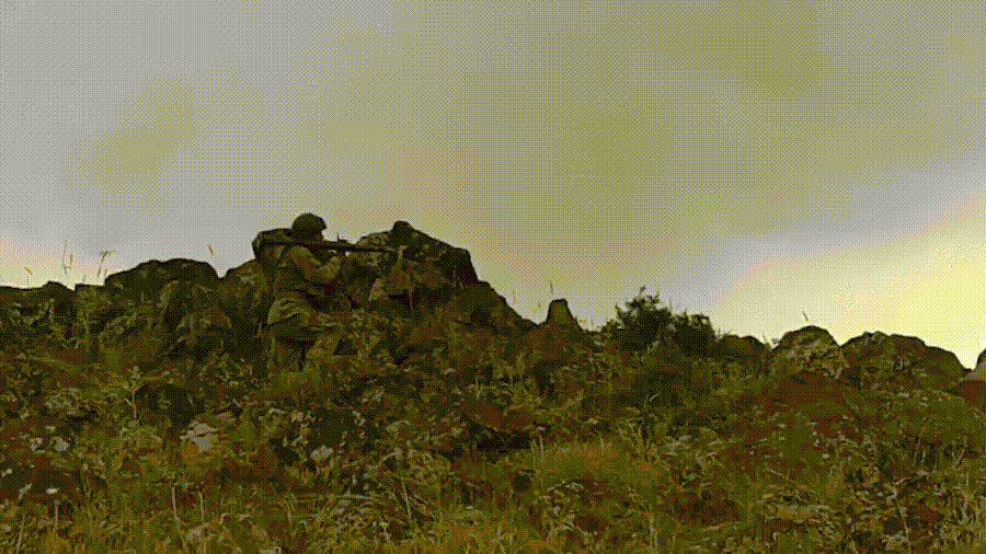 zeytin-gif-3.gif