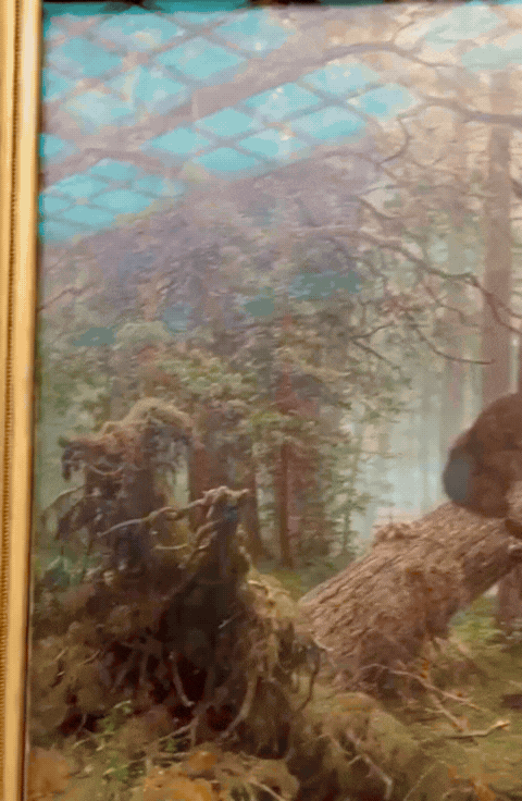 Adsız tasarım (2).gif