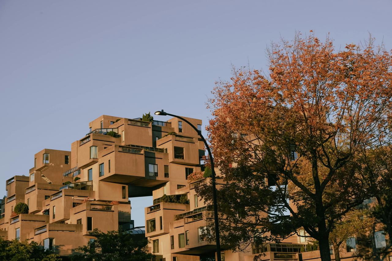 habitat 4.jpg