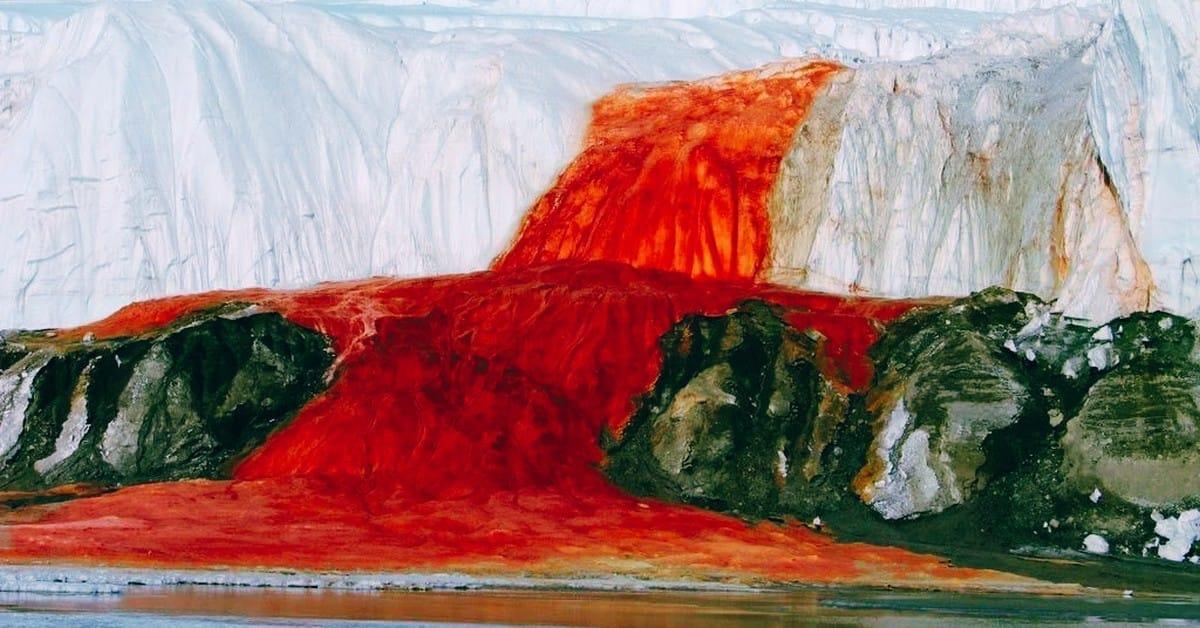 Kan Şelalesi (Antarktika)