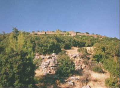 IMG_5356.jpeg