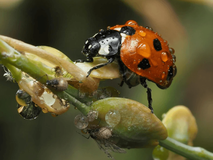 Снимок экрана 2026-03-13 070909.png