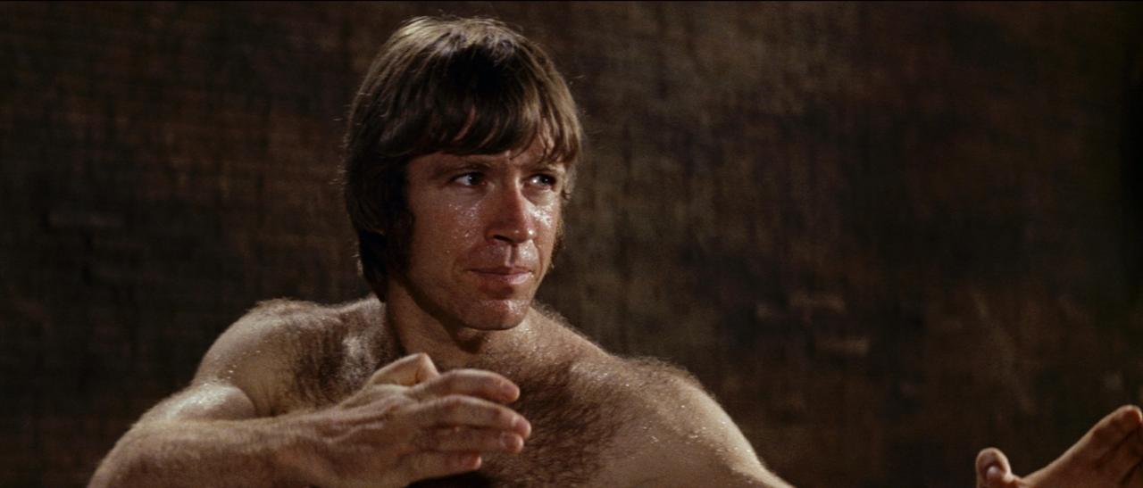 Chuck norris 3.jpg