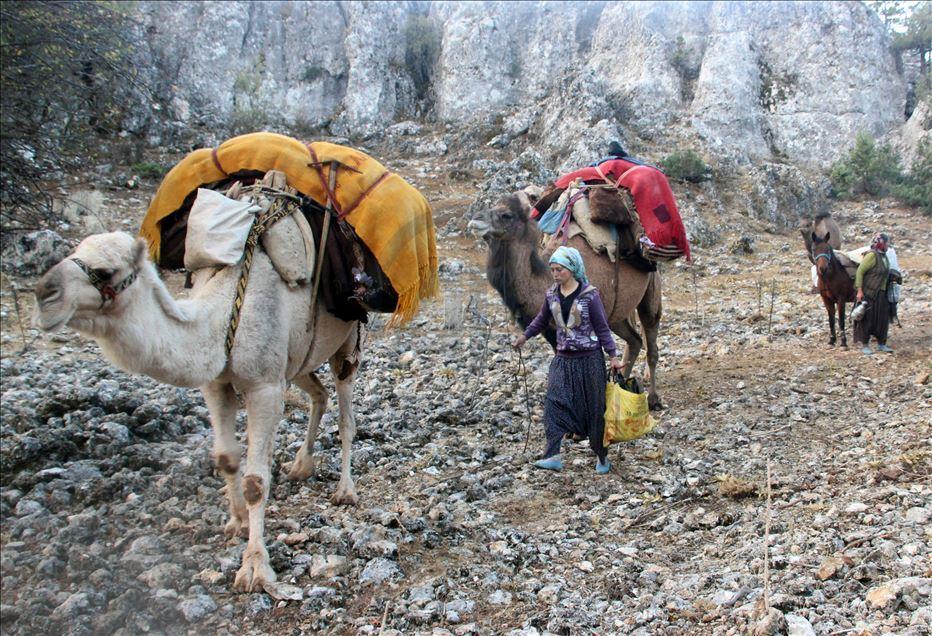 dadaş6.jpg