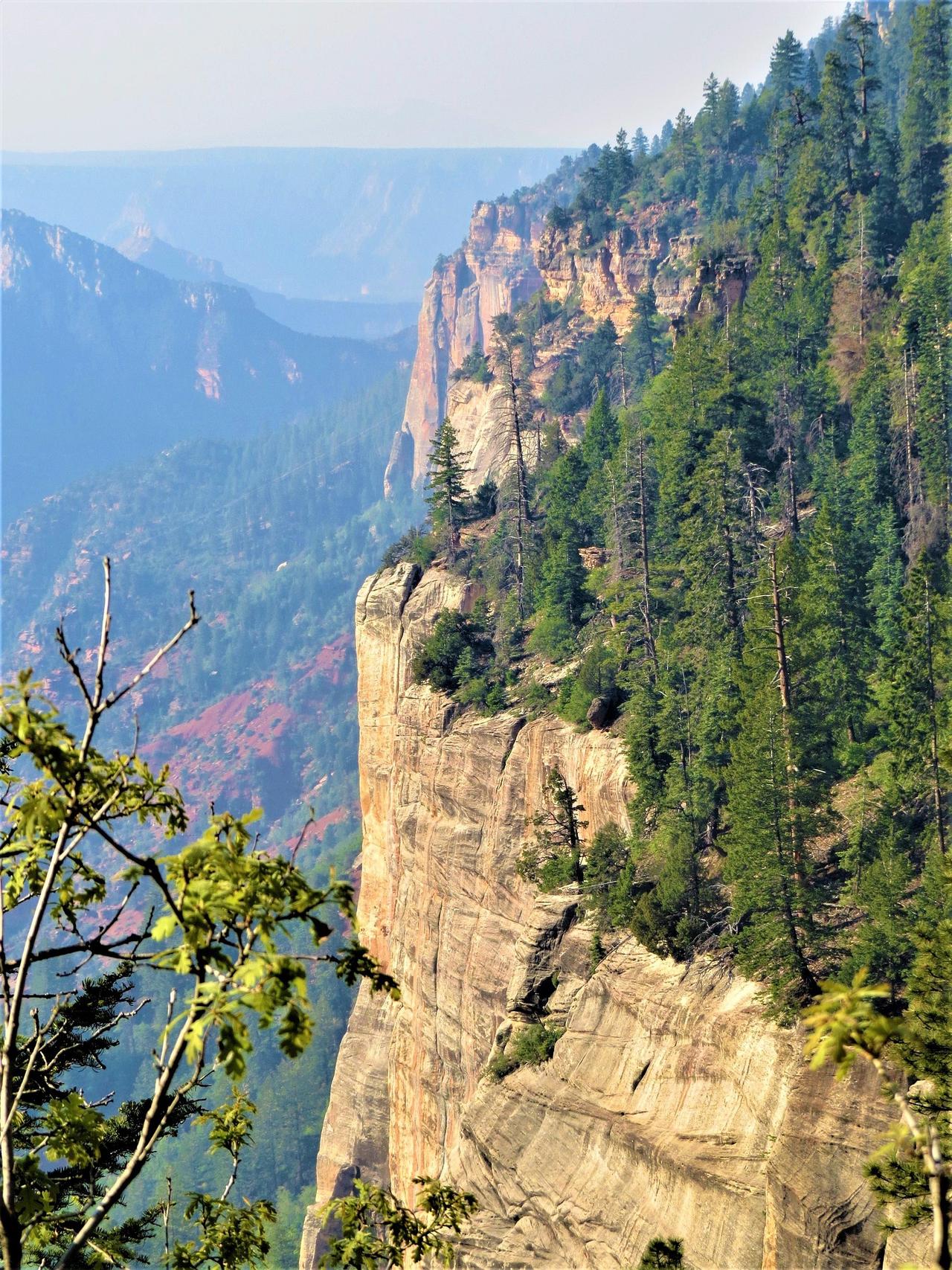 georgeb2-north-rim-grand-canyon-2417752_1920 (1).jpg