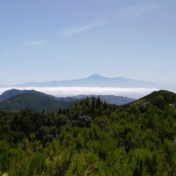 site_1258_0005-360-360-20120830140811.jpg