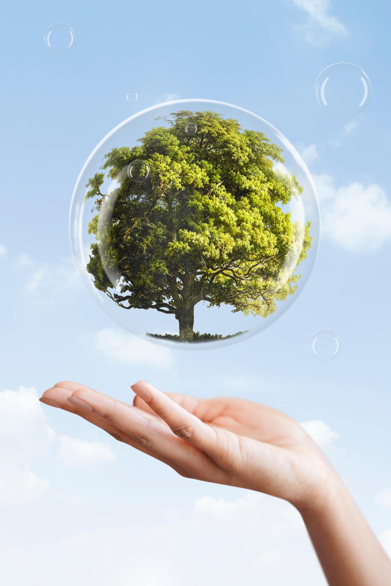 earth-day-campaign-hand-showing-tree-bubble-media-mix.jpg