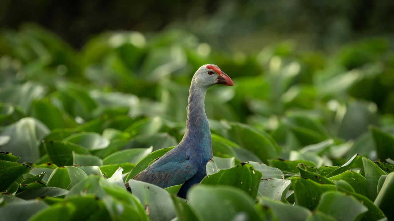 pexels-vijay-mathiew-798550-12975085.jpg