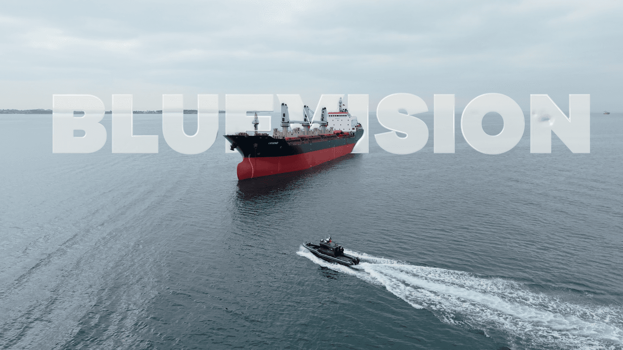 BLUEVISION sistemi. (HAVELSAN)