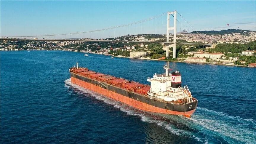 Türk Boğazları'ndan geçen ticari gemi (Anadolu Ajansı)