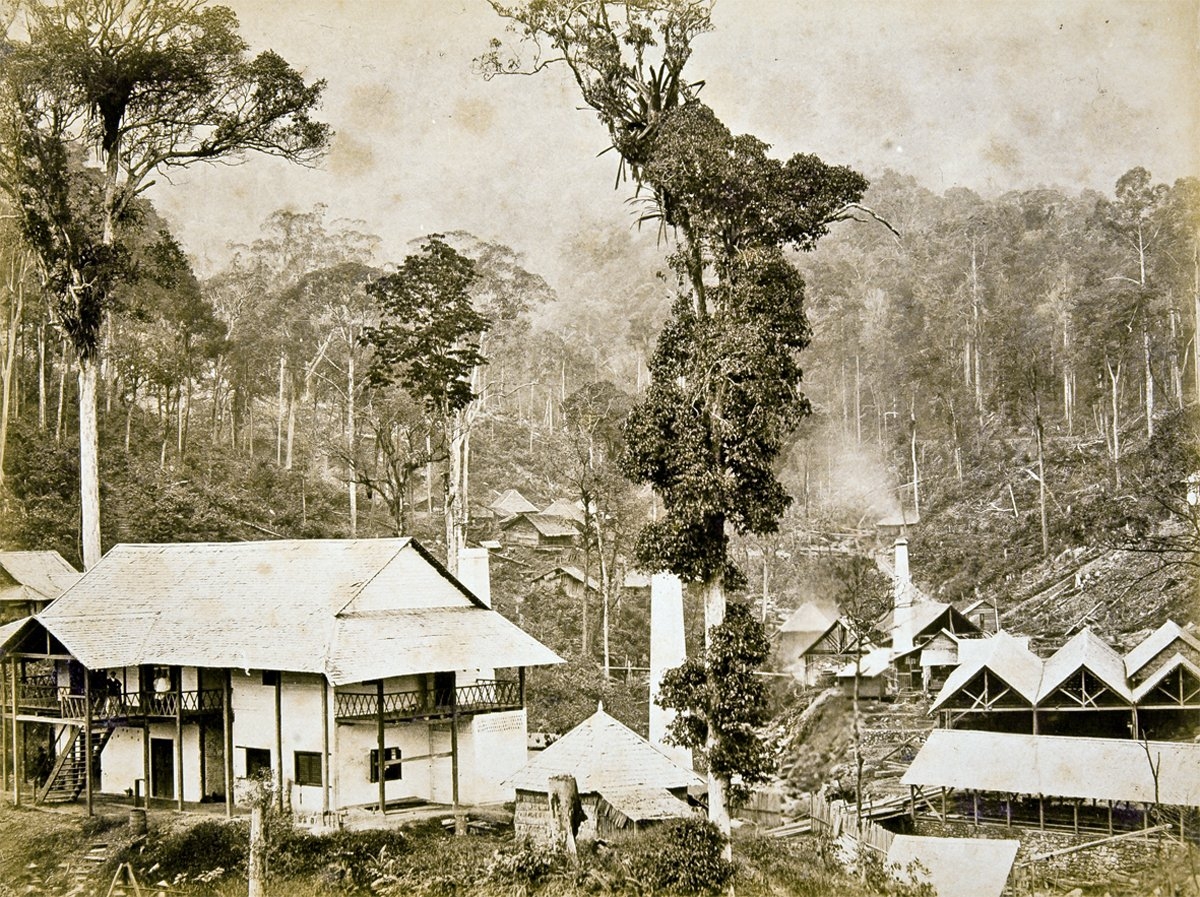 XIX. yüzyıl sonlarında adadan bir görünüş (İÜ Ktp., Albüm, nr. 91440)