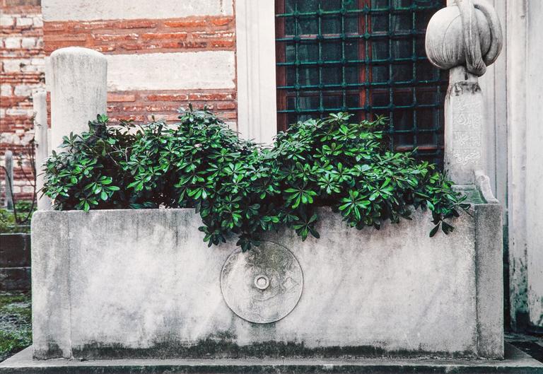 Lala Mehmed Paşa’nın Sokullu Mehmed Paşa Türbesi hazîresindeki mezarı – Eyüp/İstanbul