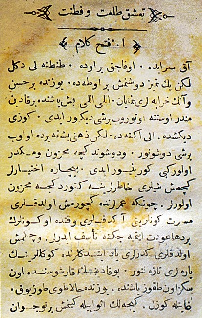 Batı tesiri altında ortaya çıkan roman-hikâye türünün ilk örneklerinden Şemseddin Sâmi’nin Taaşşuk-ı Tal‘at ve Fıtnat adlı romanının ilk sayfası