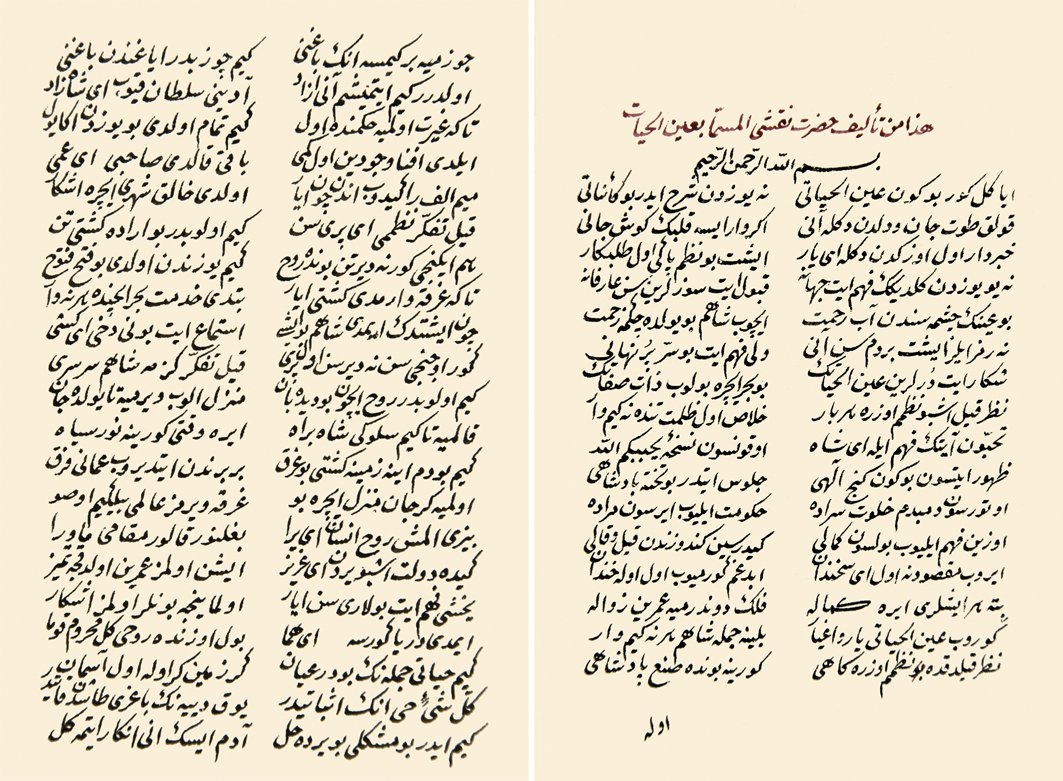 Nakşî-i Akkirmânî’nin Aynü’l-hayât adlı eserinin ilk ve son sayfaları (Süleymaniye Ktp., Hacı Mahmud Efendi, nr. 3537)