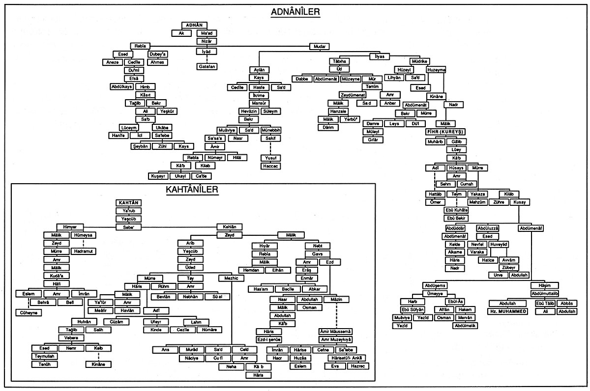 Araplar’ın iki büyük koluna mensupbazı kabilelerin şeceresi