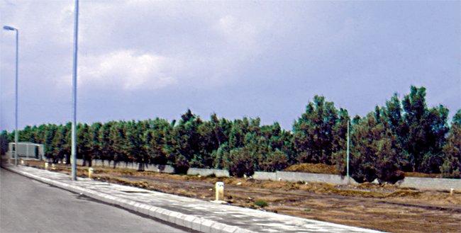 Bedir hurmalıkları – Medine/Suudi Arabistan
