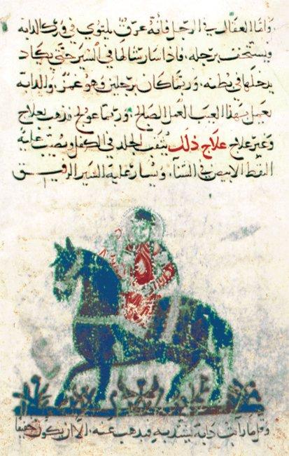 Sâhib Tâceddin b. Hinnâ’nın Kitâbü’l-Bayṭara adlı eserinin müellif hattı nüshasından bir sayfa (Süleymaniye Ktp., Fâtih, nr. 3608, vr. 98b)
