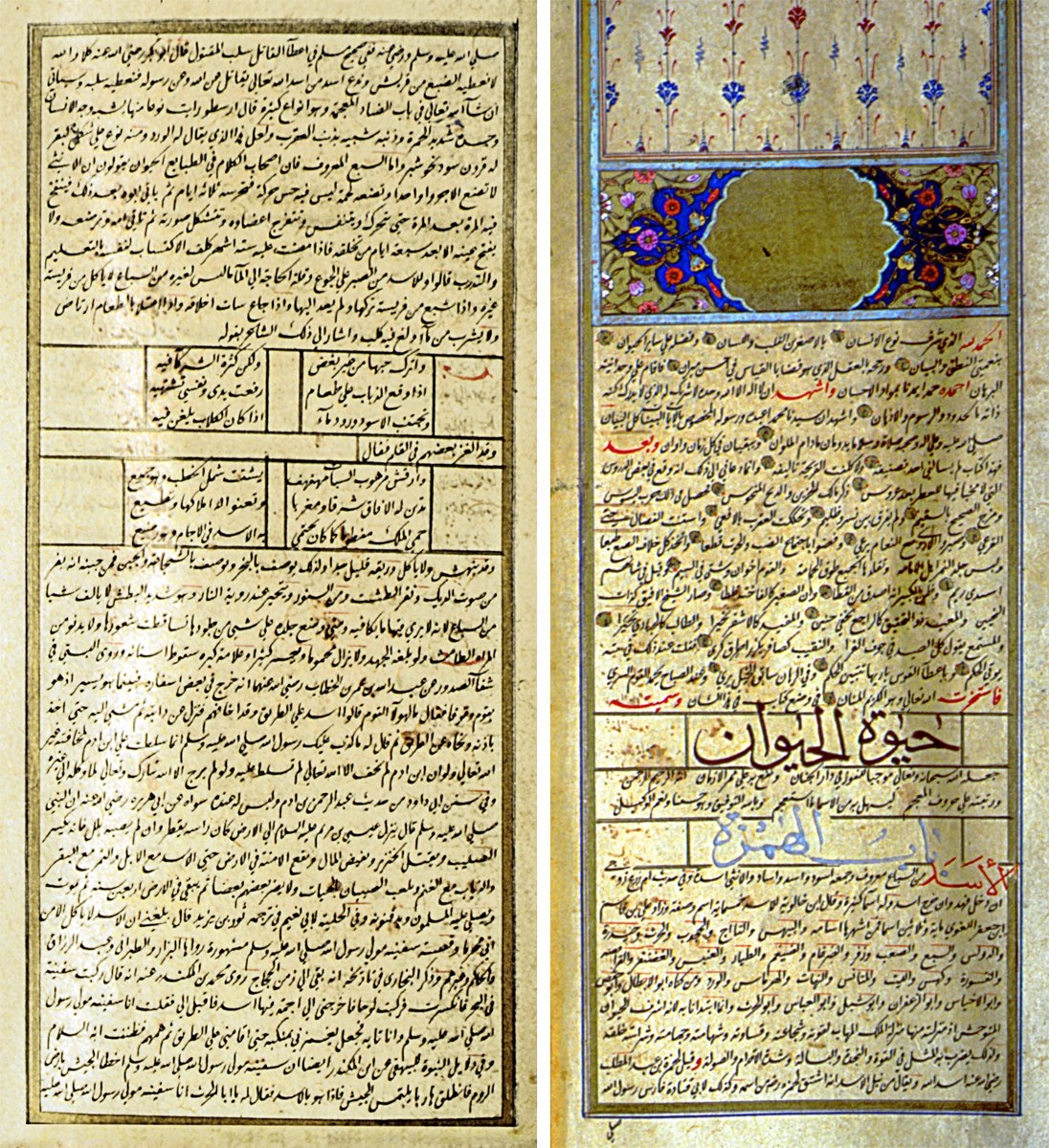 Demîrî’nin Ḥayâtü’l-ḥayevân adlı eserinin ilk iki sayfası (Süleymaniye Ktp., Hâlet Efendi, nr. 6262)