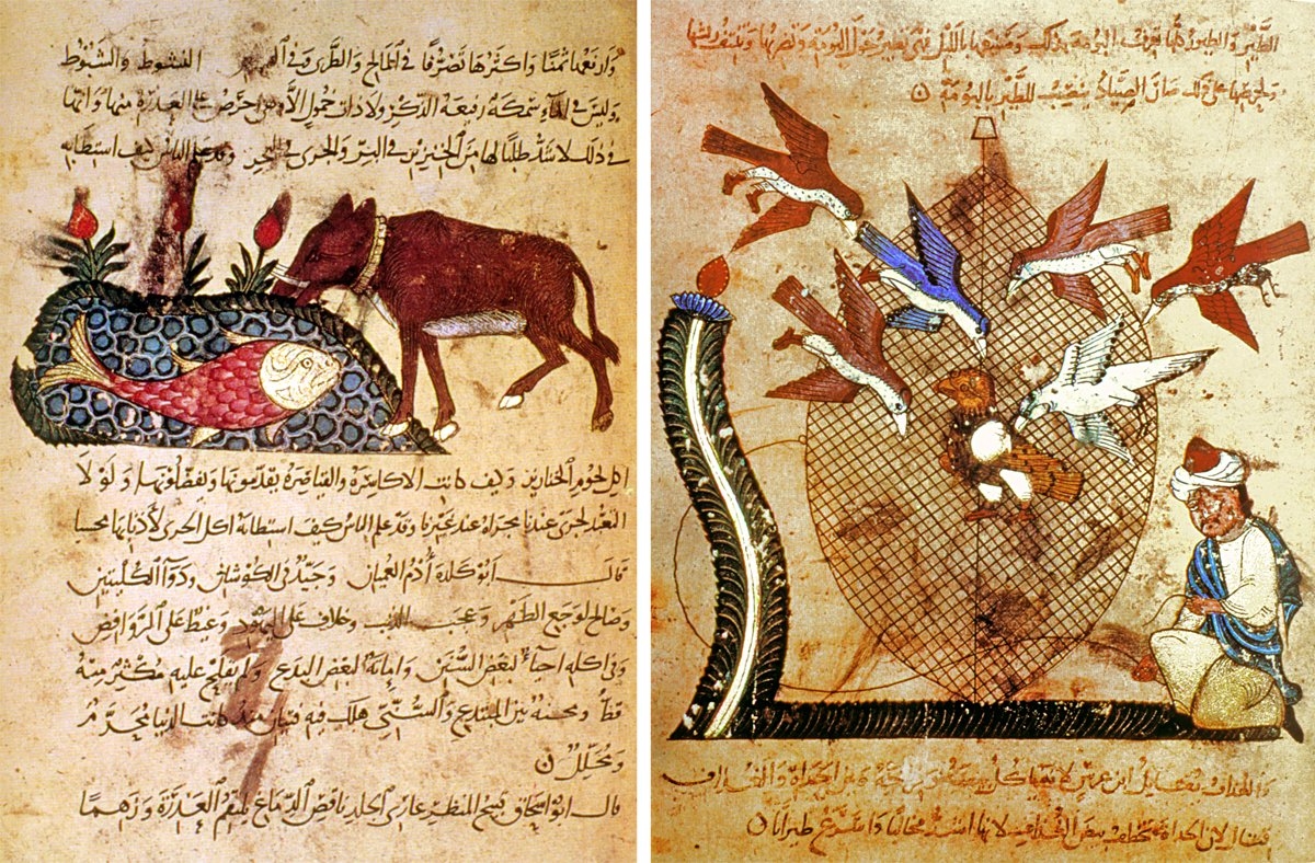 Câhiz’in Kitâbü’l-Ḥayevân adlı eserinden minyatürlü iki sayfa (Milano Ambrosiana Ktp., nr. 140, R. F. D.)