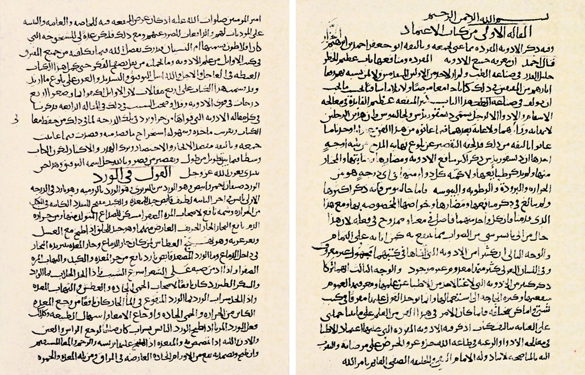 Ebû Ca‘fer İbnü’l-Cezzâr’ın Kitâbü’l-İʿtimâd fi’l-edviyeti’l-müfrede adlı eserinin ilk iki sayfası (Süleymaniye Ktp., Ayasofya, nr. 3564)