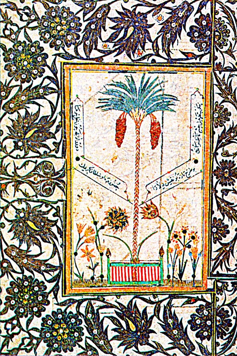 XVII. yüzyıla ait yazma bir eserde hurma ağacı tasvirinin bulunduğu bir sayfa (Mahmud Gaznevî, Mecmûa-i Eş‘âr, İÜ Ktp., TY, nr. 5461, vr. 29b)