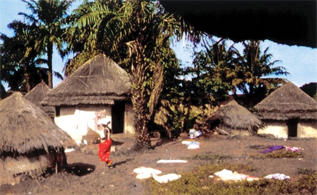 Gine’de tipik bir köy